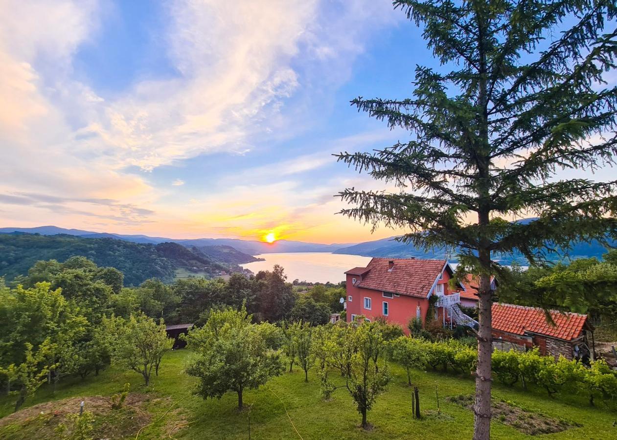 Apartmani Kuljanin Donji Milanovac Exterior foto