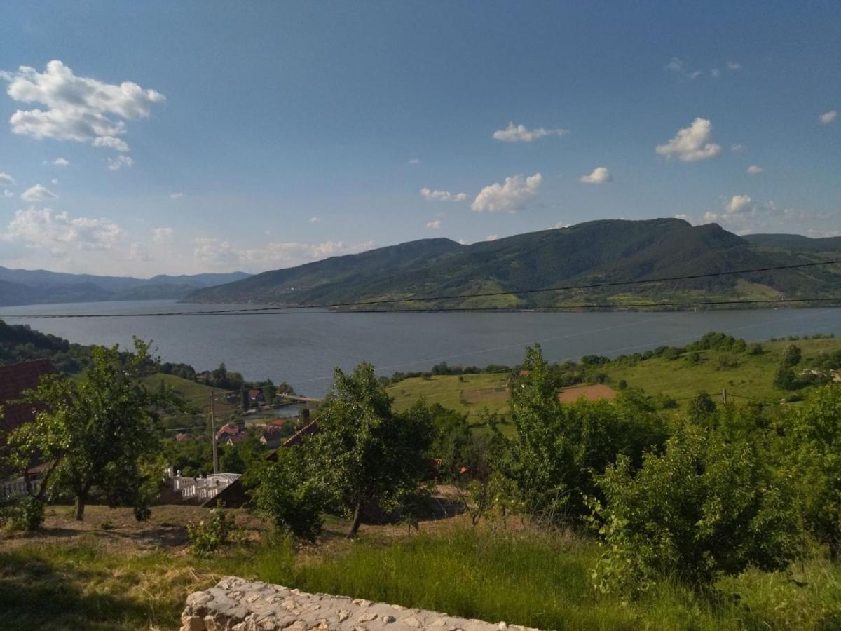 Apartmani Kuljanin Donji Milanovac Exterior foto